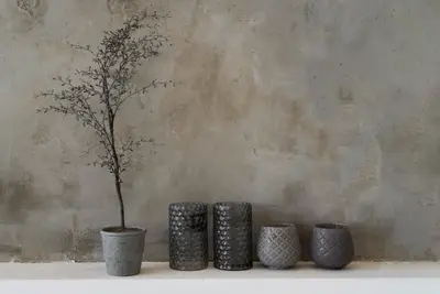 Biophilic Design: Bringing Nature Indoors